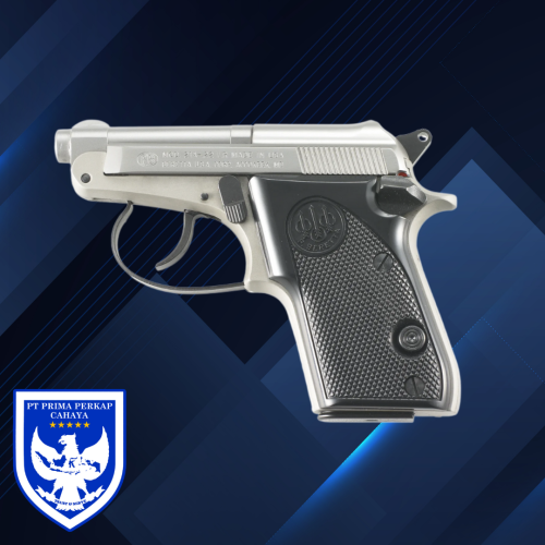 Beretta - 21A Bobcat Inox .22 LR